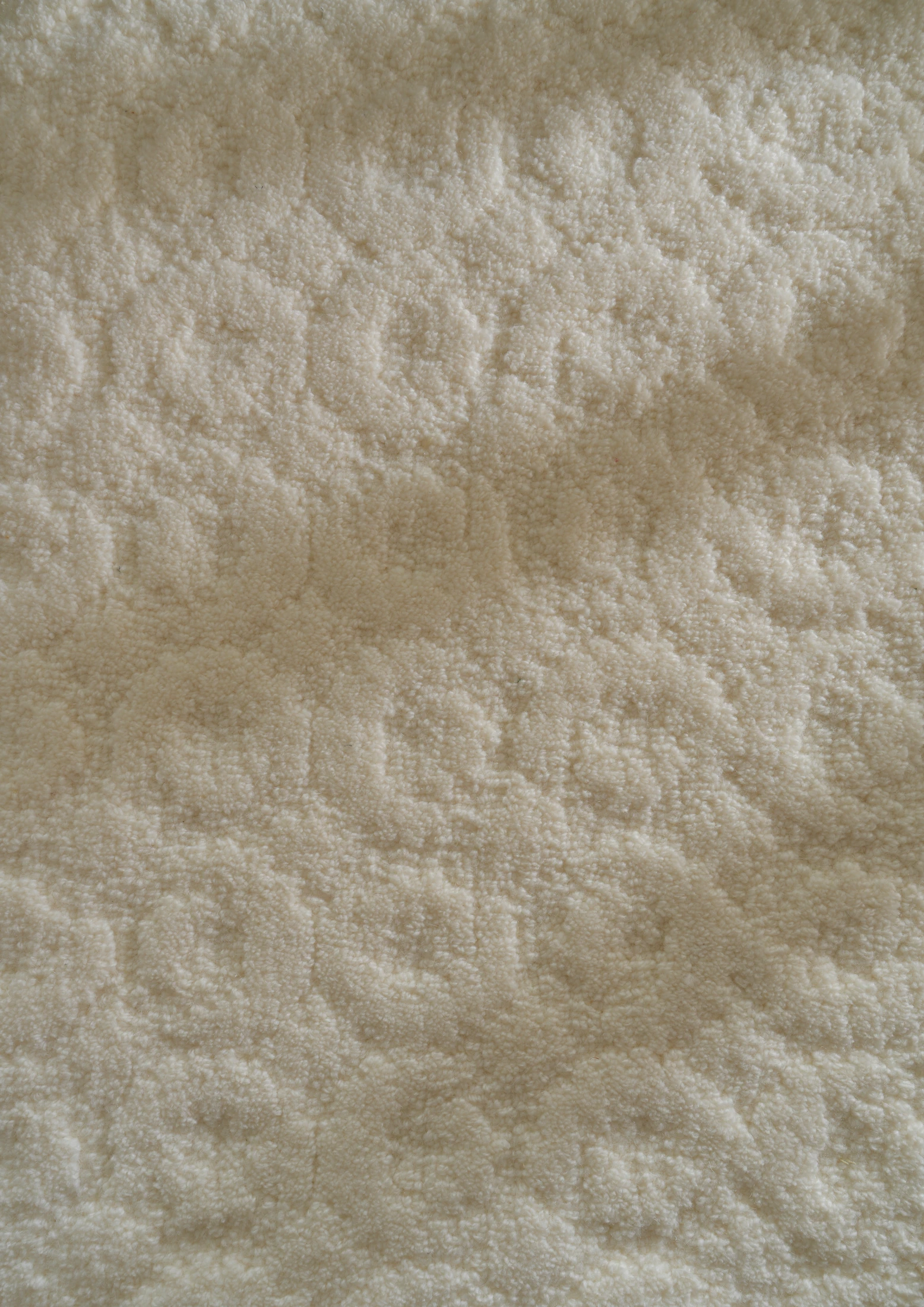 Alvéolo · D-0002 · Photo